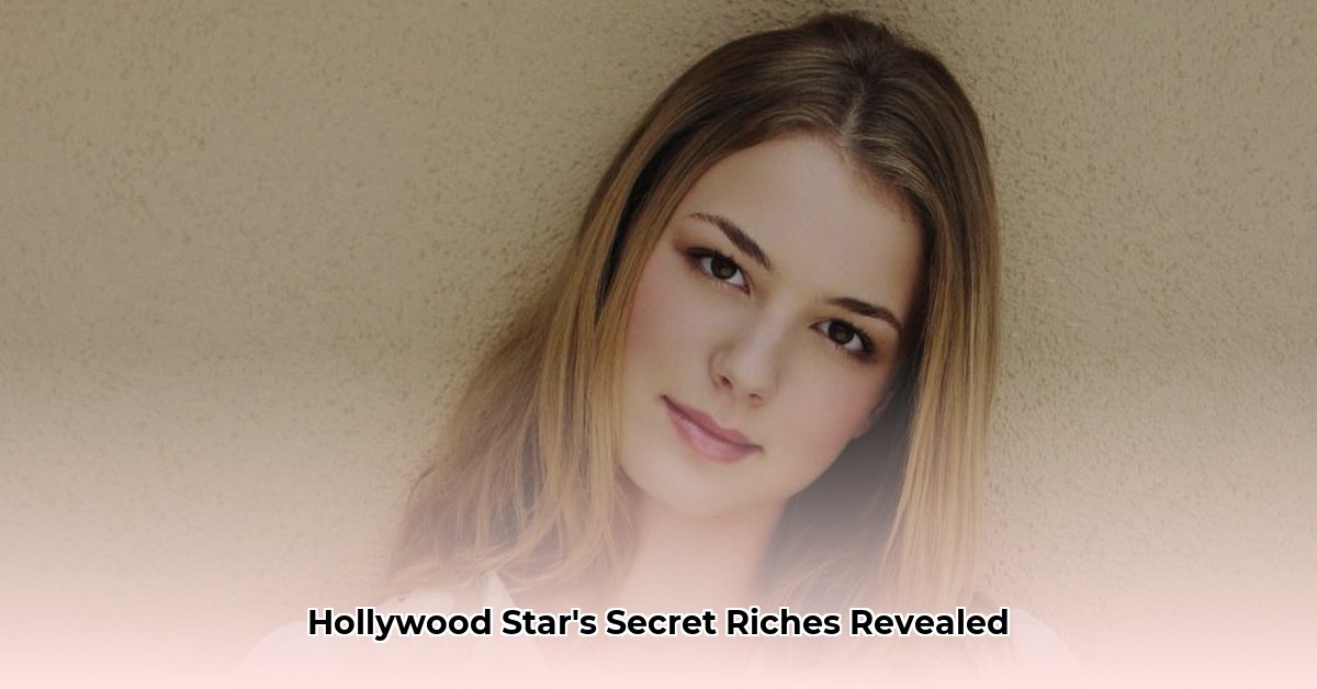 emily vancamp net worth